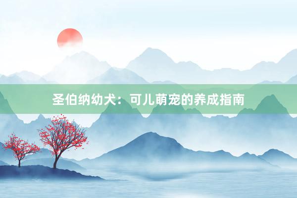 圣伯纳幼犬：可儿萌宠的养成指南