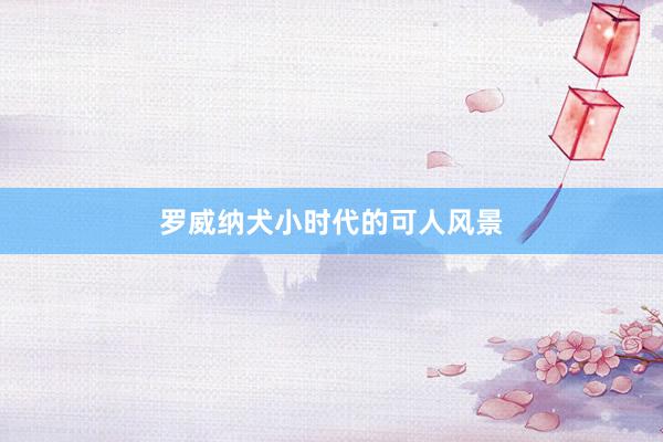 罗威纳犬小时代的可人风景